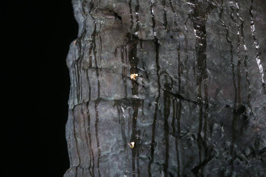 Zagreb: Nepoznati poÄinitelj bacio jaja na spomenik Franji TuÄmanu