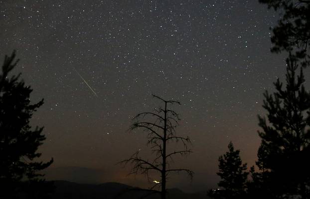 Perseid meteor shower seen from Zenica