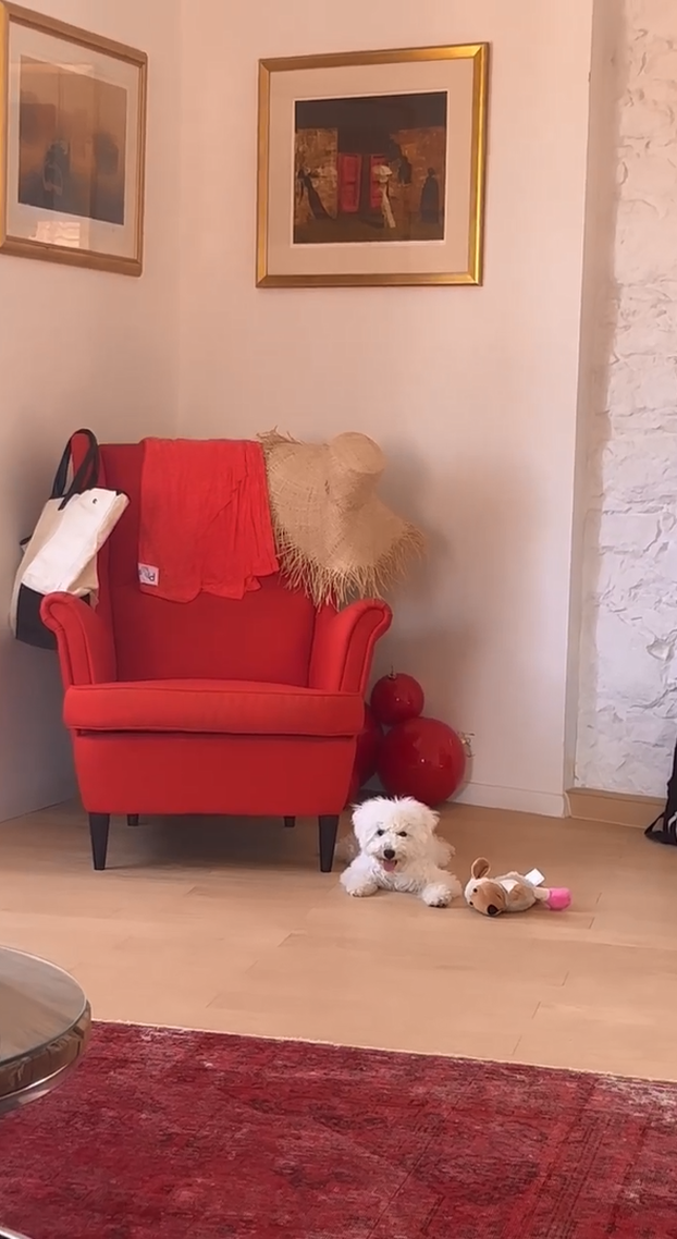 Zavirite u luksuzne kuće naših slavnih: Hauser uživa kraj Pule, Nina Badrić mir našla na Hvaru