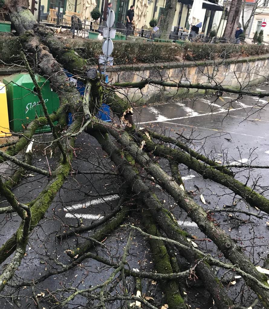 Čuo se prasak: Ogromno stablo srušilo se na ulicu u Zagrebu...