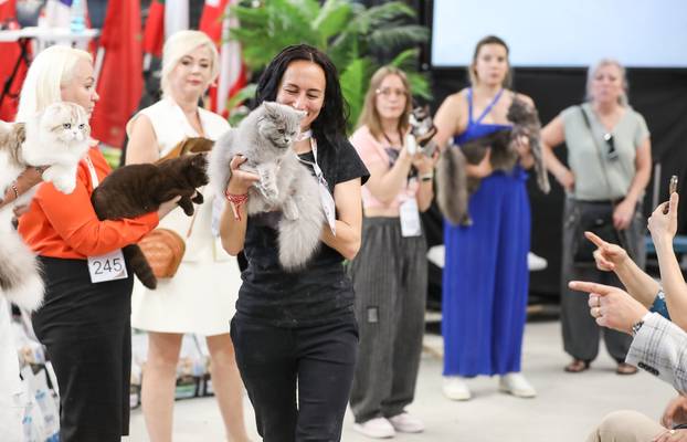 FOTO Otvorena Svjetska izložba mačaka u zagrebačkom Family Mallu! Traje i tijekom nedjelje
