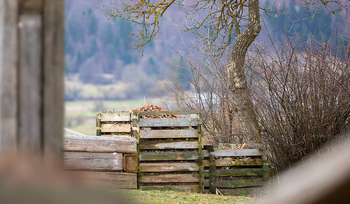 Tri najvažnija savjeta za uspješan rast bilja u vašem vrtu