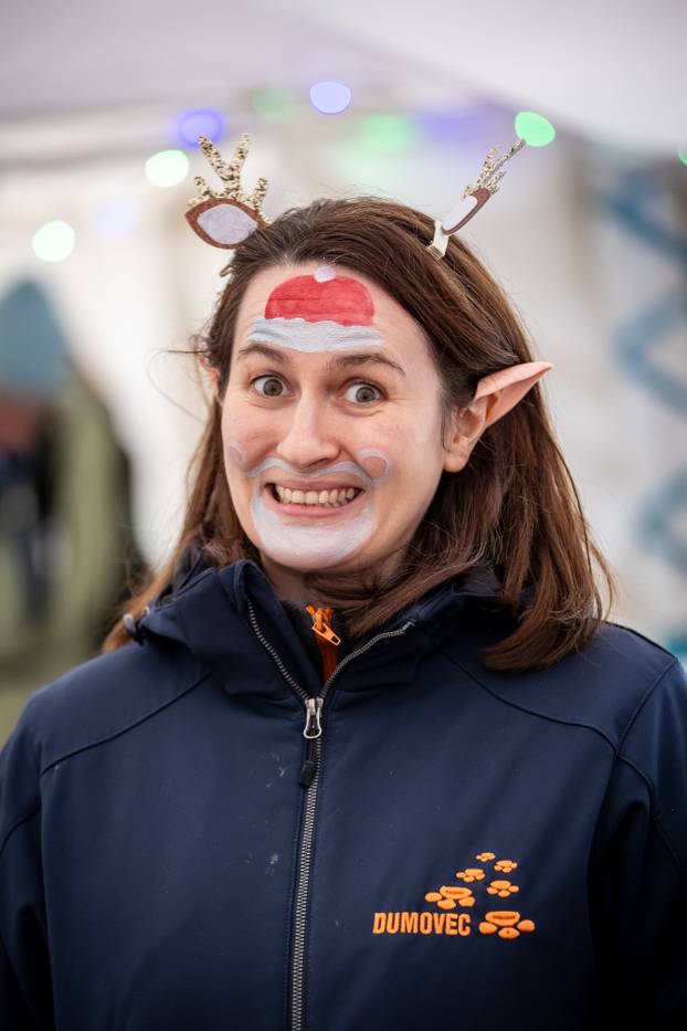 I psići vole advent: Preslatke fotke štenaca koji traže dom