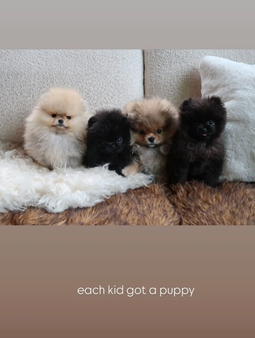 Kim Kardashian kritizirali zbog spornih božićnih poklona djeci: 'Oni nisu plišane igračke...'