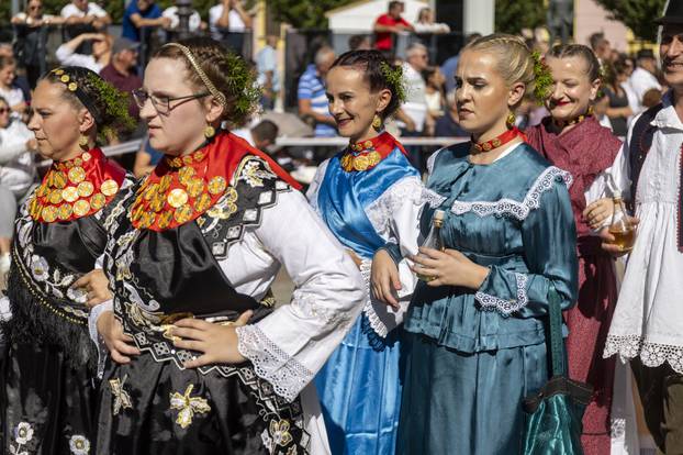 Vinkovci: Svečani mimohod sudionika 60. Vinkovačkih jeseni