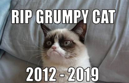 Mačka Grumpy živjet će vječno kao 'meme': Ovo su najbolji...