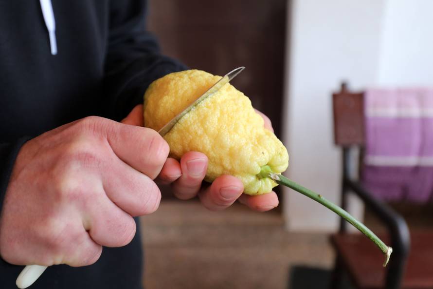 Fabio uzgaja čudne voćke koje vole svi: 'Hit su indijanske banane i peruanske jagode'