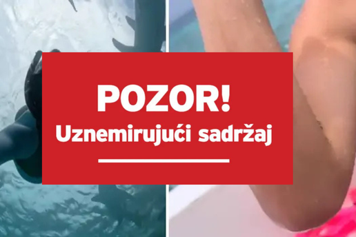 VIDEO Djevojku na Maldivima ugrizao morski pas, fanovi u šoku: 'Ma je li to Ela Jerković?'