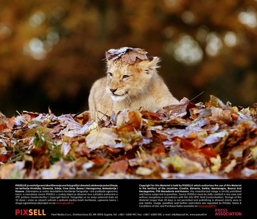 Press Association/Pixsell