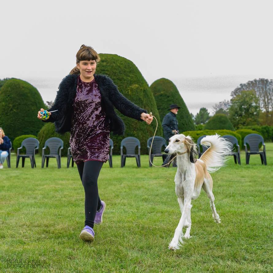 Kaja je dijete-anđeo, ali ima i svoje anđele čuvare s kojima osvaja srca na izložbama pasa!