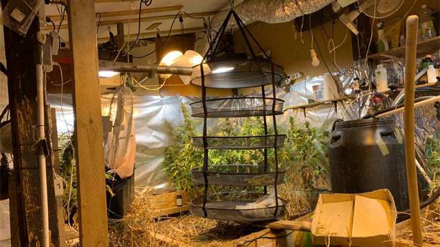 Policija je u Zagrebu otkrila laboratorij za uzgoj marihuane