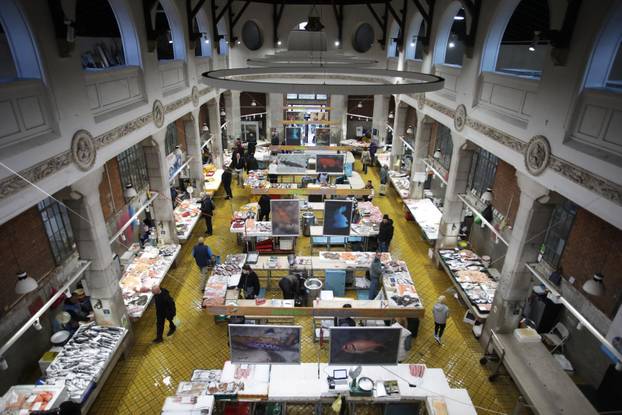 Rijeka: Ponuda ribe na riječkoj ribarnici