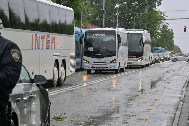Zagreb: Palo stablo na Maksimirskoj, blokiran promet, vatrogasci na terenu