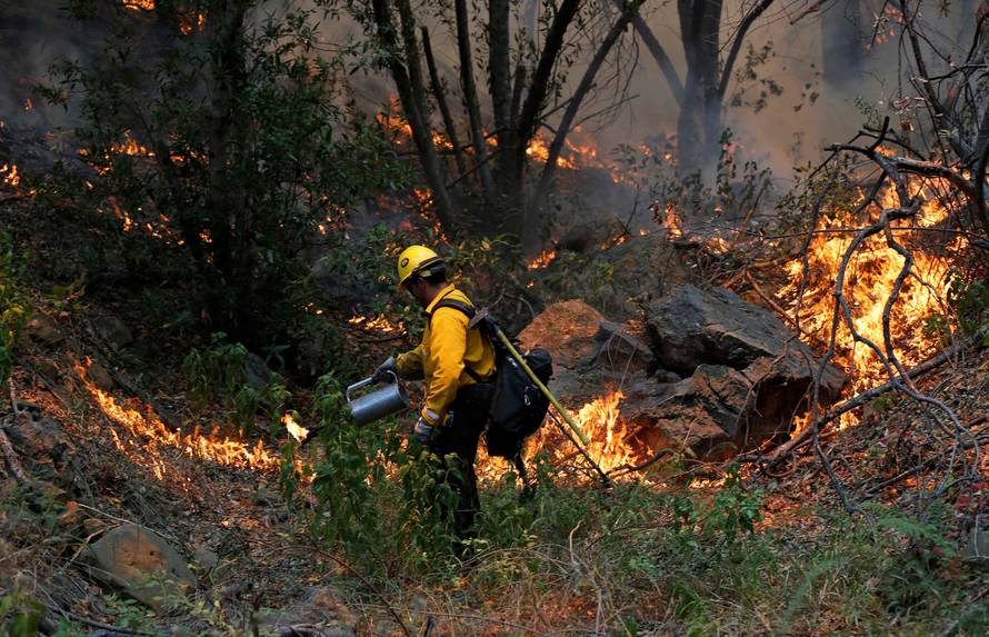 A Hotshots member from the U.S. Forest Department sets a back fire while battling the the so-called "Sherpa Fire", which has grown to over 1100 acres overnight, in the hills near Goleta