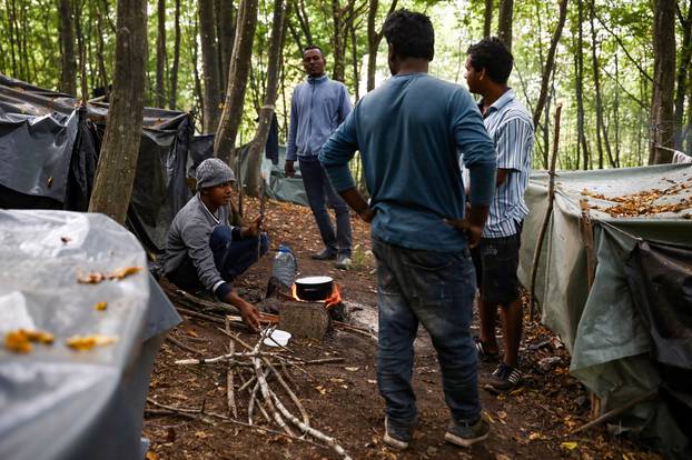 Migranti formirali novi kamp u šumama iznad Mirala u Velikoj Kladuši