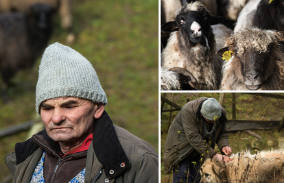 Upoznajte pastira Josu i njegove ovčice: 'Srećom, kuća mi je ostala čitava u potresu'