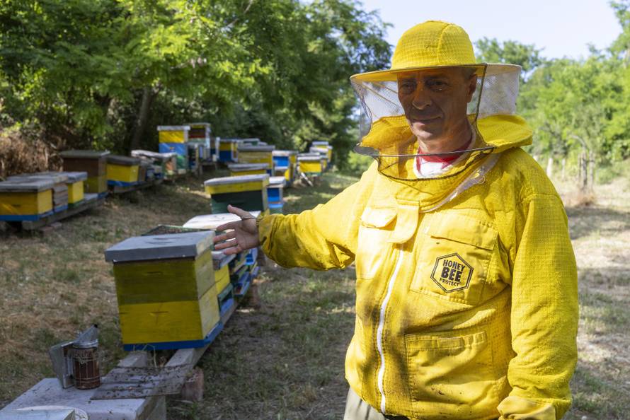 Vukovar: Pomor pčela na OPG Dumendžić
