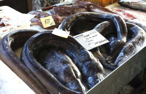 Šibenik: Ponuda ribe u šibenskoj ribarnici