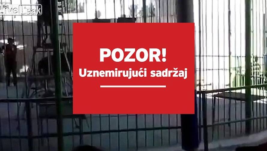 Šokantan video: Lav u cirkusu rastrgao trenera, djeca vrištala