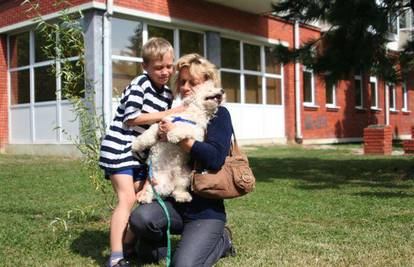 Dječaku (12) otela pudlicu Tora i prodala ga za drogu