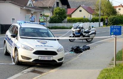 Istrčao na cestu: Vlasnik htio uhvatiti konja, on ga pregazio