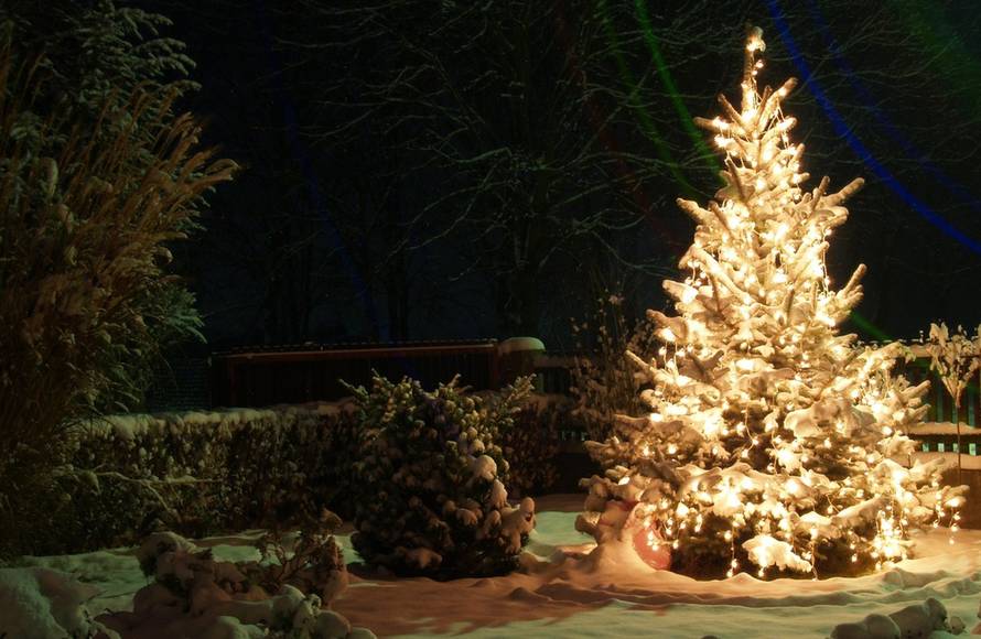 Šaljite fotografije božićnih jelki i osvojite vrijednu nagradu...