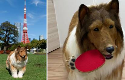 Na fotki nije pas, već čovjek. Ovaj Japanac potrošio je 15.000 € na kostim: 'Postao sam pas!'