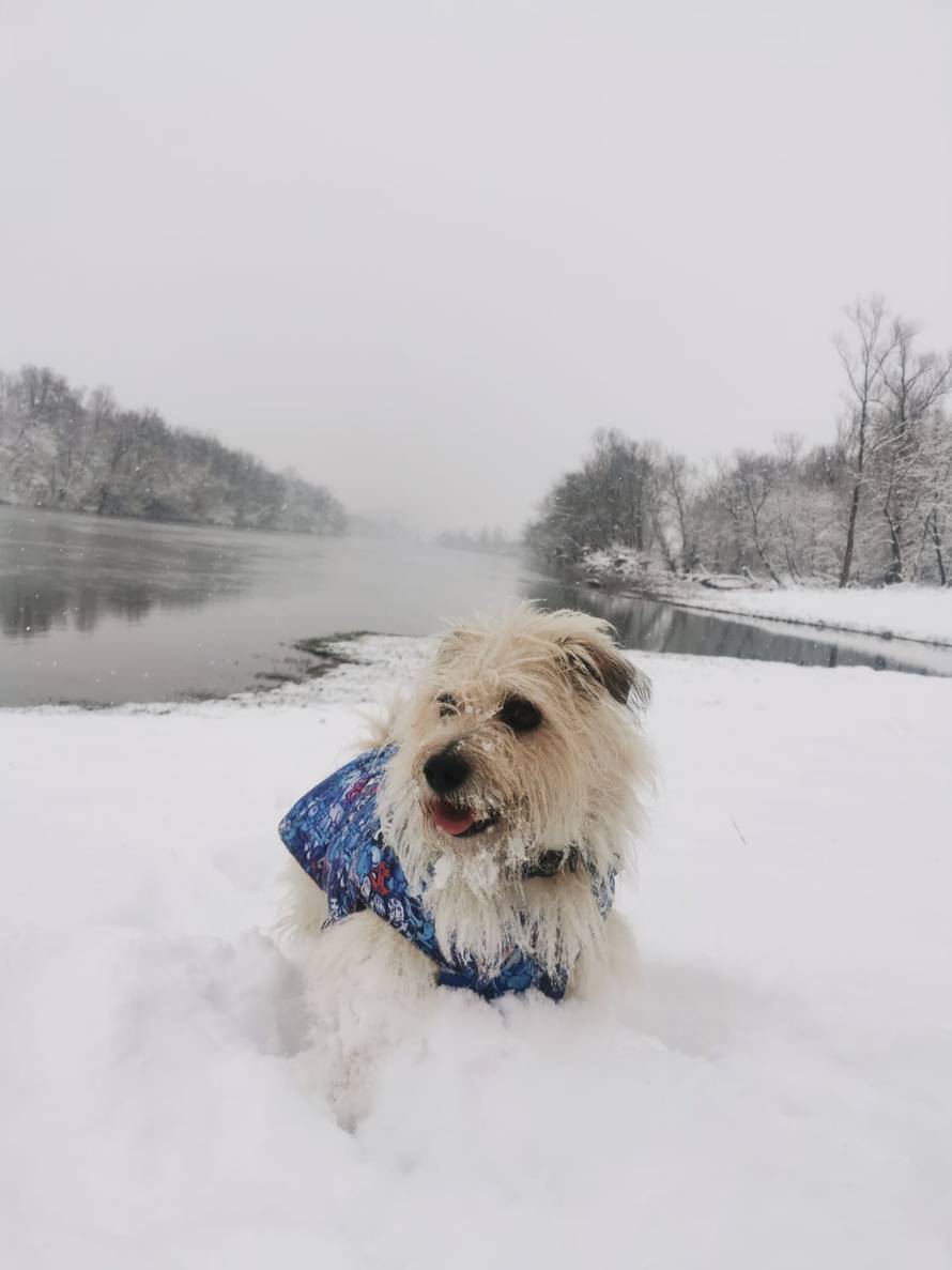Općinska komunalka sama 'izlopatala' snijeg sa staze: 'Nema nikakve drame u tome'