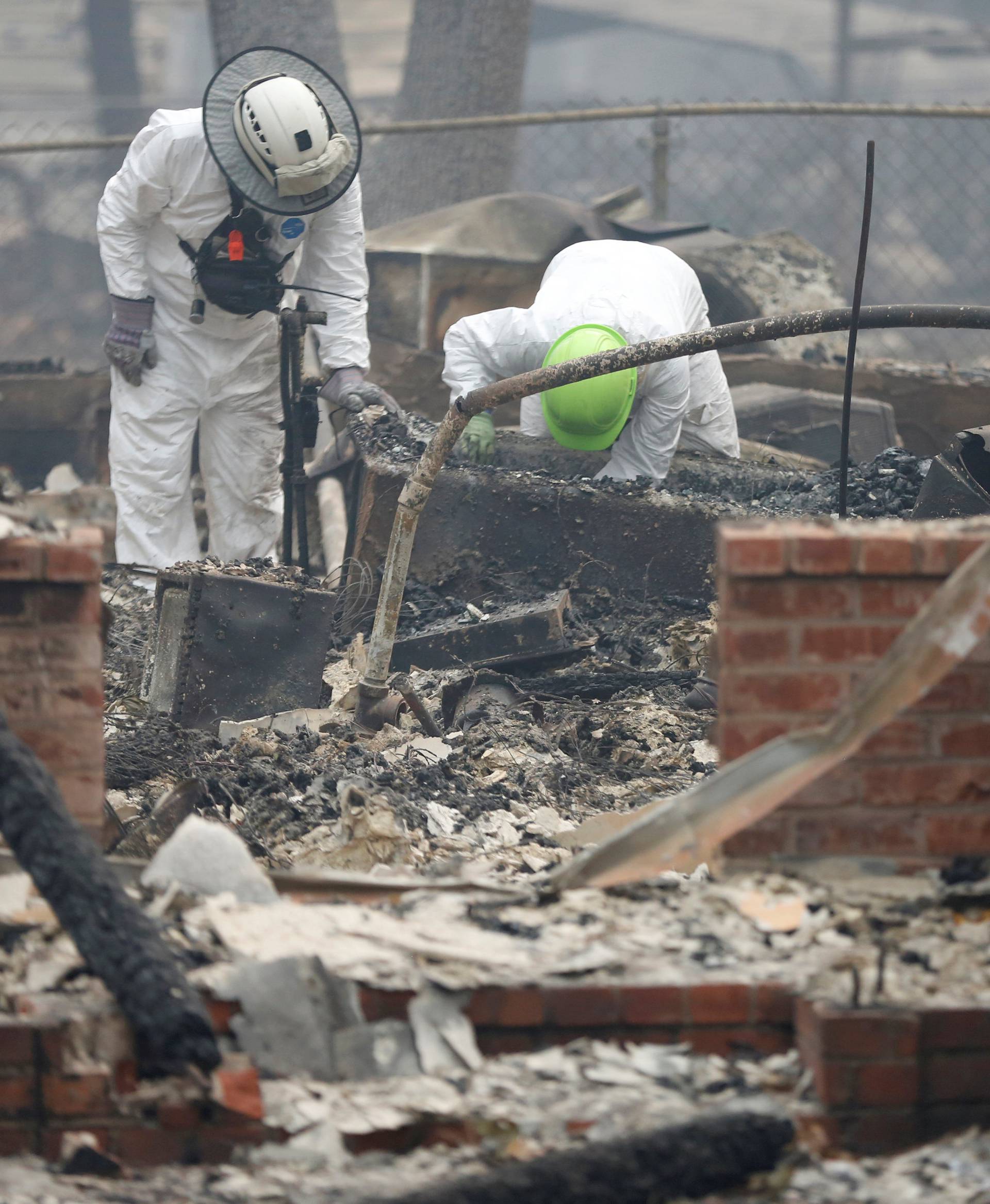 An anthropologist examines the remains of a dog found in a bathtub in a home destroyed by the Camp Fire in Paradise