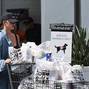 *EXCLUSIVE* Chrissy Teigen stocks up on essentials at Bristol Farms