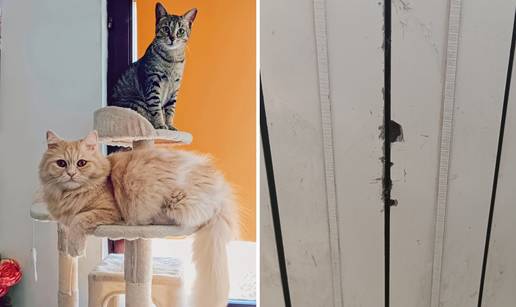 Vatrogasci  u akciji! U neobičnoj intervenciji spasili maci šapice iz radijatora: 'Hitno su došli'