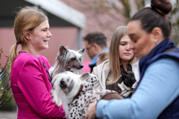 Izložba pasa svih pasmina ispred shopping centra Westgate City u Zaprešiću