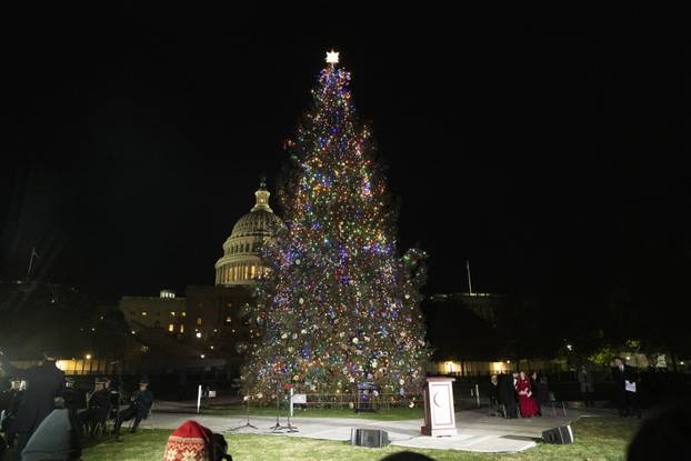 The 2024 Capitol Christmas tree lighting ceremony