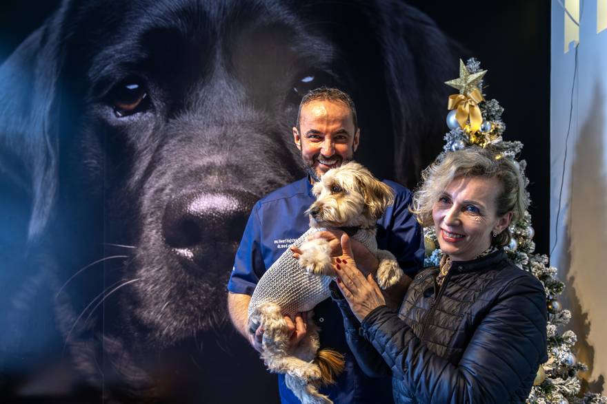 Pula: Veterinar Dr. Hajster operirao je psa Charliea koji se u igri nabio na &ccaron;eli&ccaron;nu &scaron;ipku