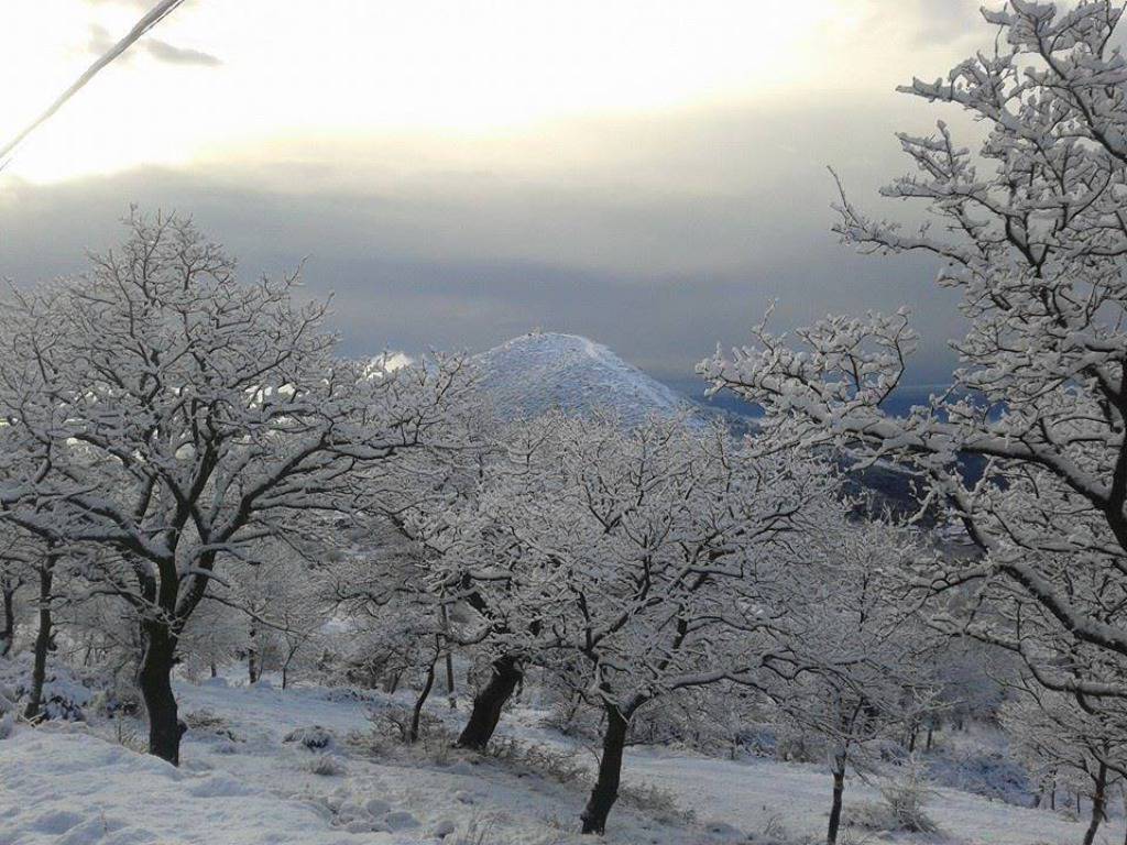 Pave Gruica/Crometeo