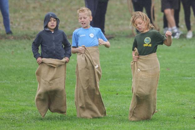 51. Olimpijada starih sportova u Brođancima