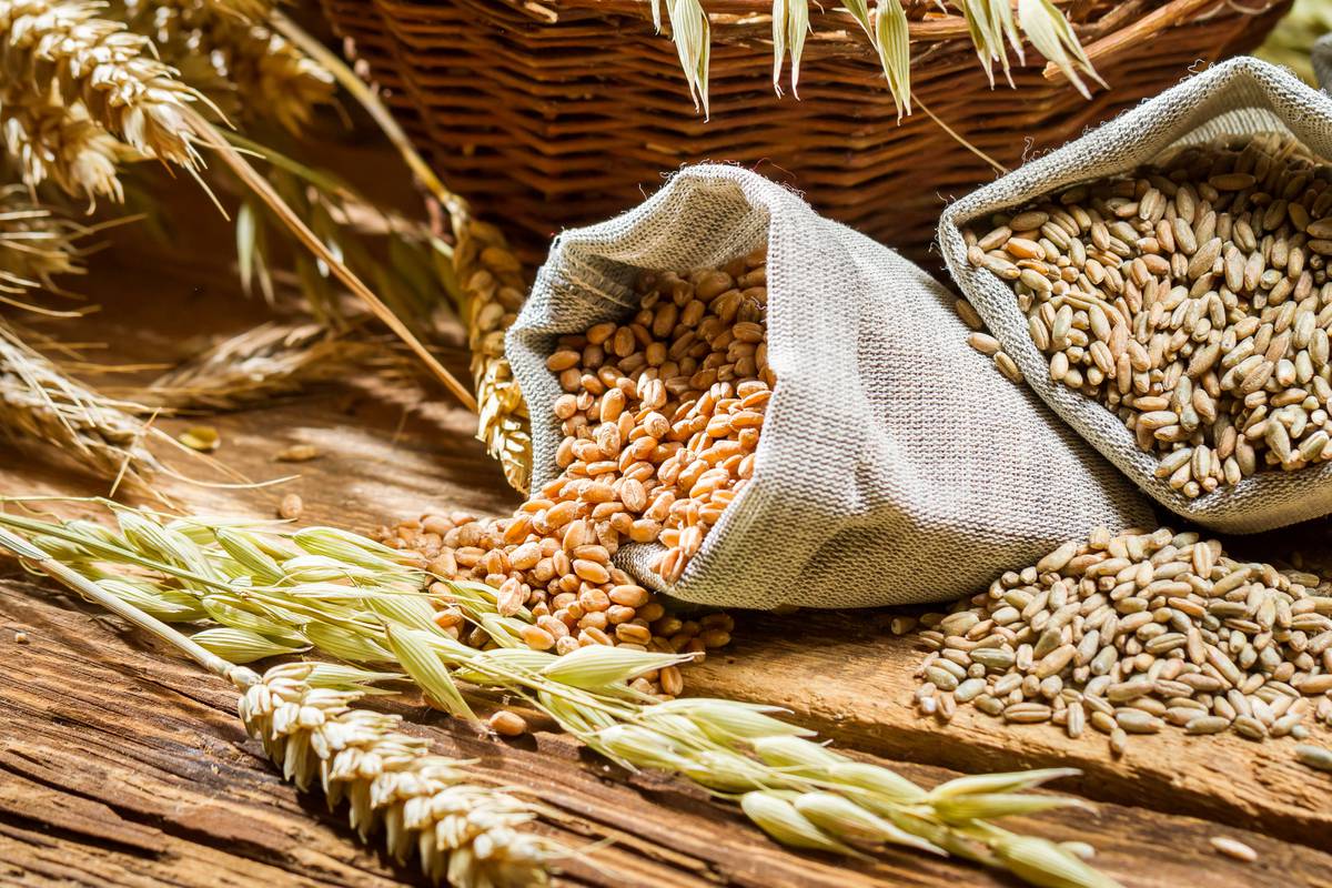 Glavne razlike između cjelovite pšenice i žitarica od cijelih zrna