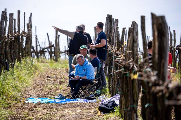 FIA WRC Croatia Rally 2026., Beram - Cerovlje