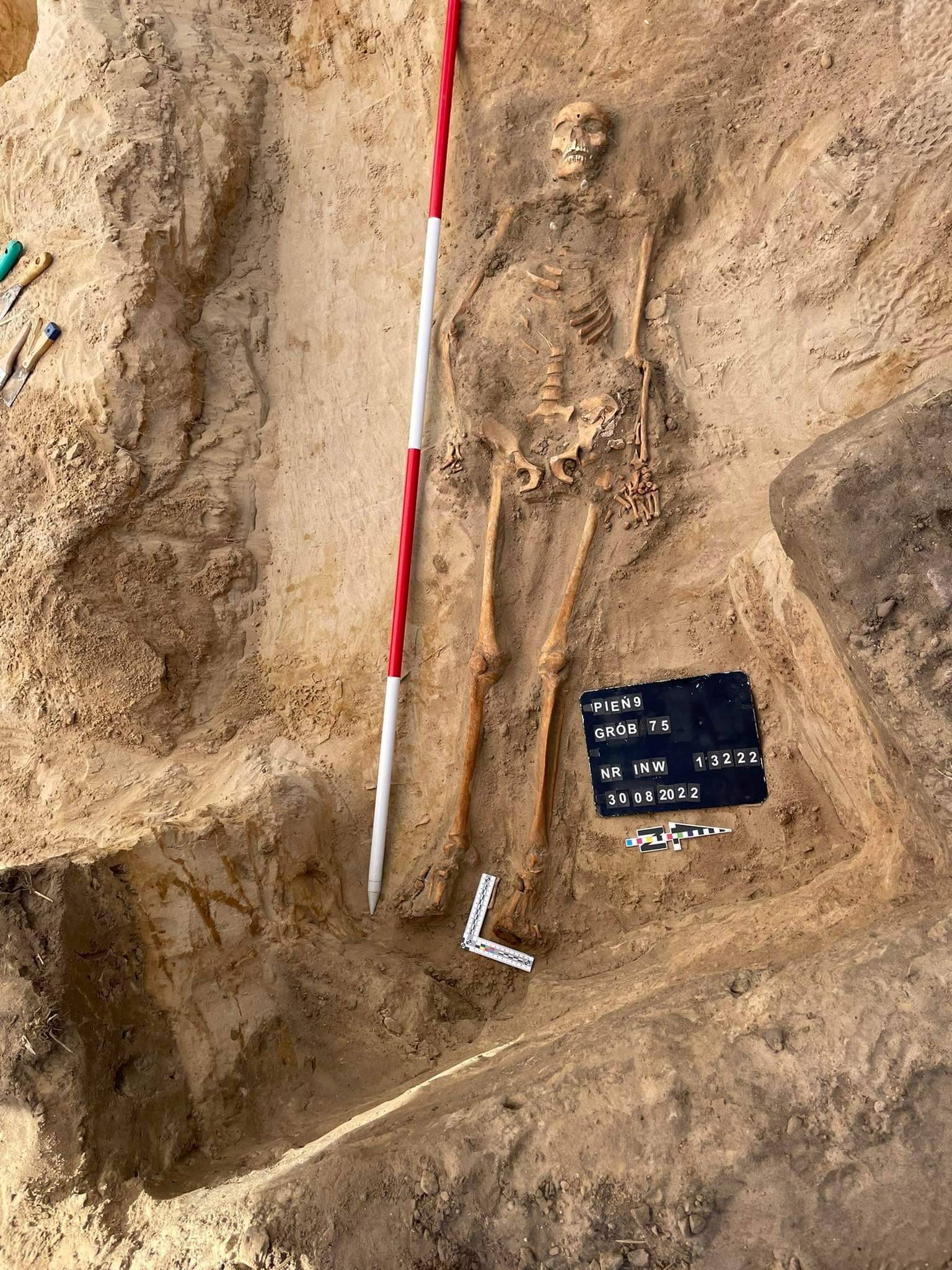 Archaeologists uncover 'vampires' in Polish graveyard