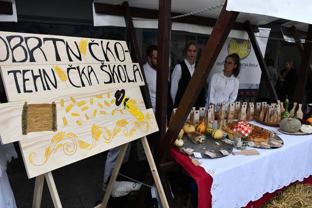 FOTO Slavonski Brod oborio rekord: Na Pogačafestu ispekli pogaču dugačku 20 metara!