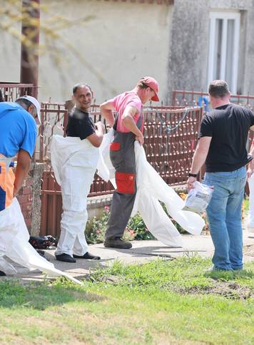 Jagodnjak: Zapo&ccaron;ela je eutanazija &zcaron;ivotinja zara&zcaron;enih svinjskom kugom