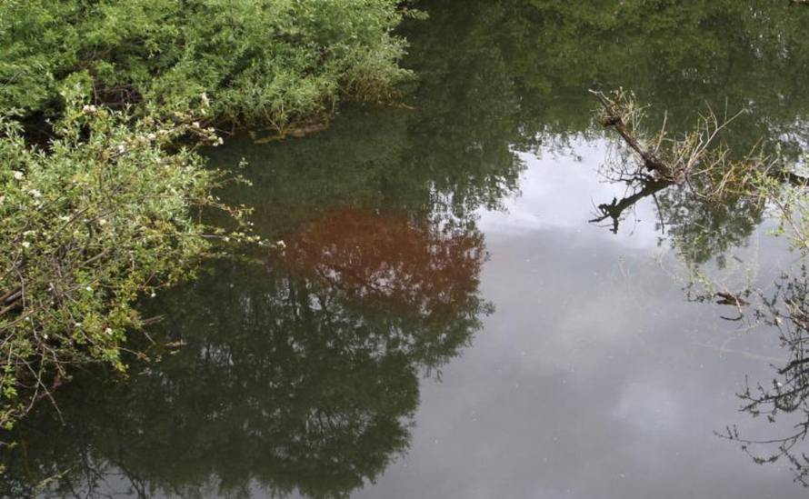 Kristina Štedul-Fabac/PIXSELL