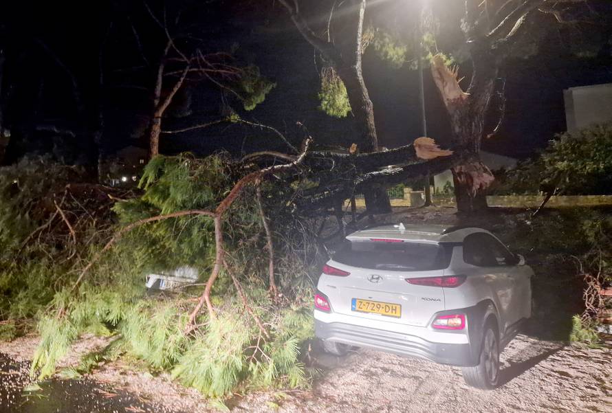 Uništeni automobili pod krošnjama nakon veliko nevremena u Rovinju