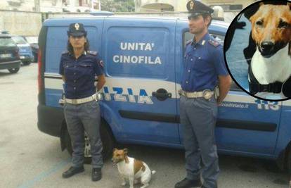 'Koštao nas je milijune!': Mafija nudi 5.000 € za ubojstvo - psa