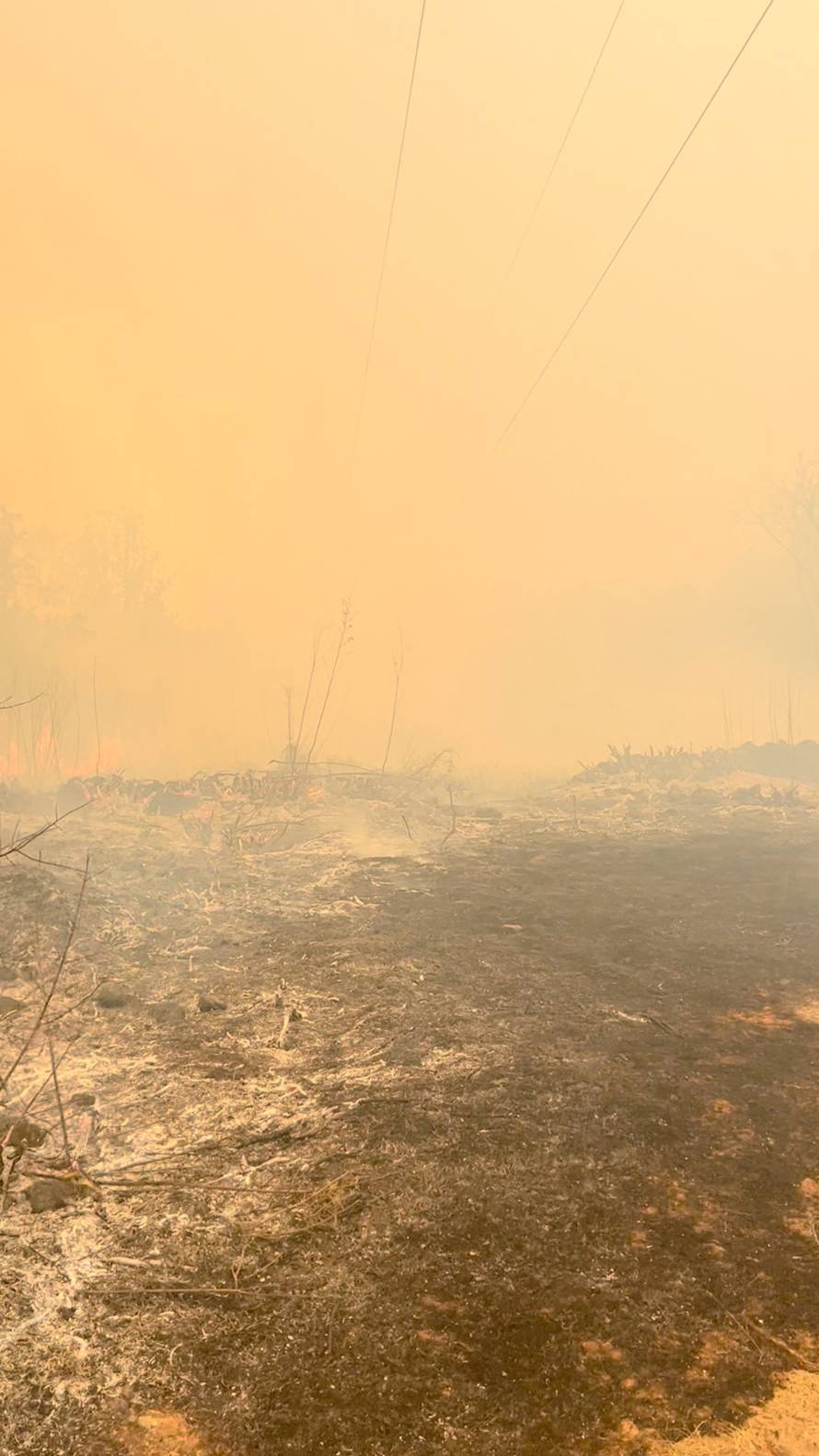 Wildfire in Slovenia
