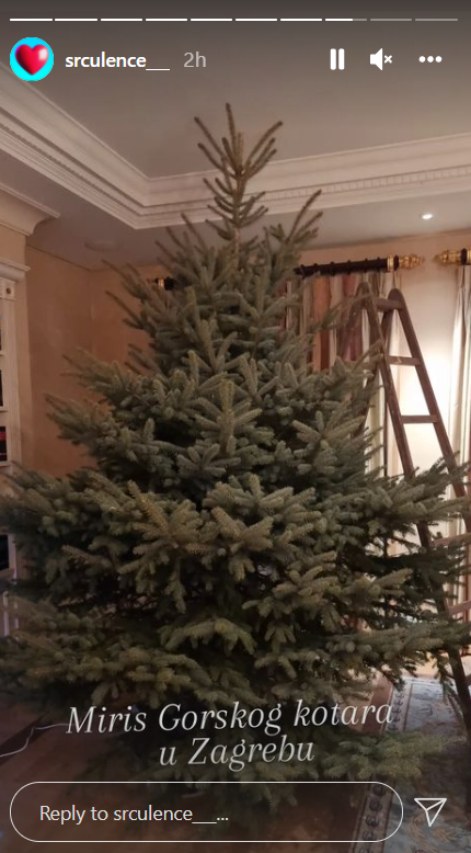 Iva Todorić se pohvalila svojim raskošno okićenim božićnim drvcem u Kulmerovim dvorima