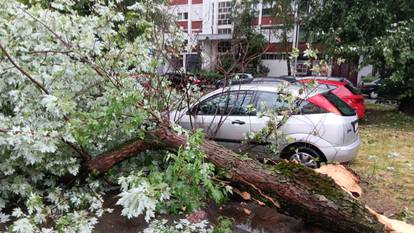 FOTO Neviđeni kaos u Zagrebu i okolici: Vjetar čupao stabla i dizao krovove po cijelom gradu