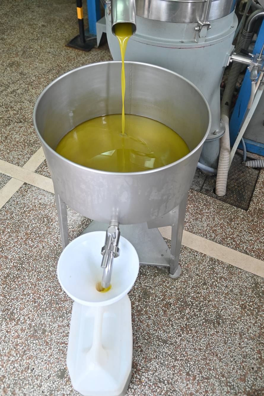 Proces proizvodnje maslinovog ulja u uljarskoj zadruzi Igrane