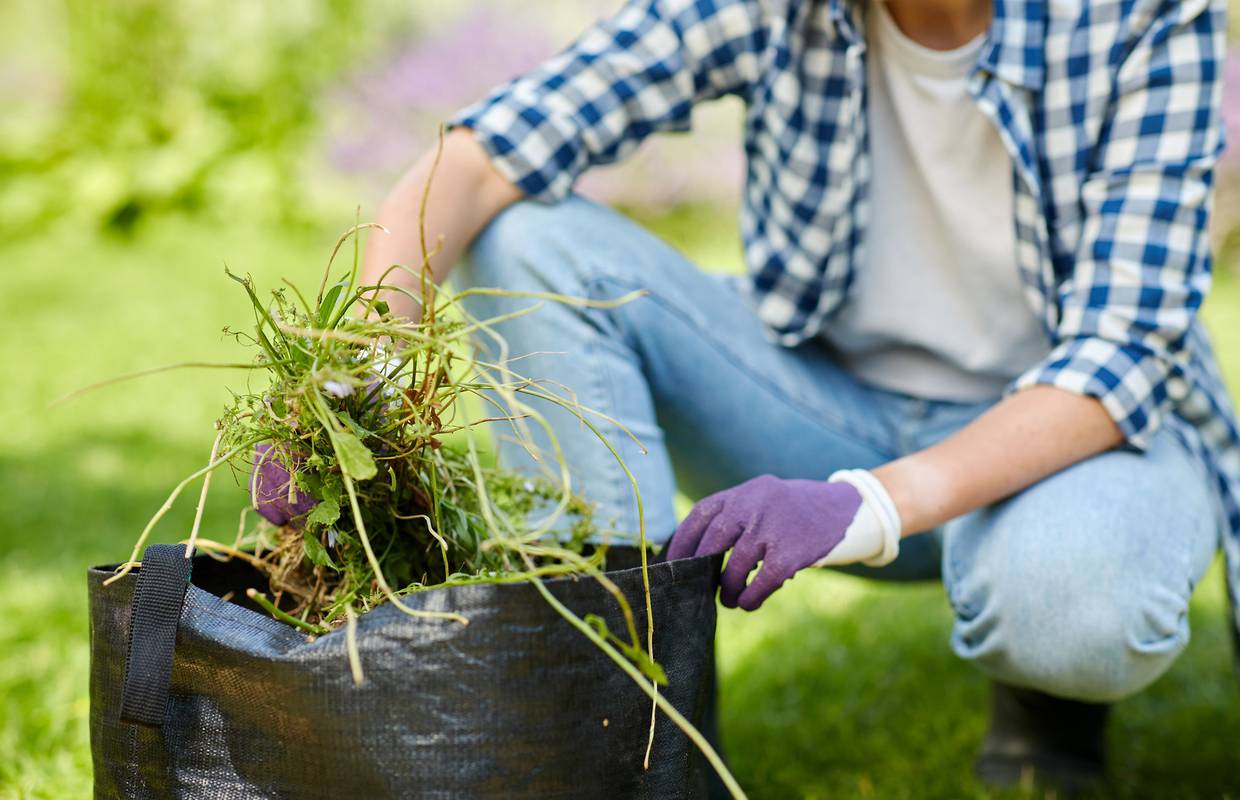 Sami čupajte korov umjesto da rabite herbicide i čuvajte okoliš
