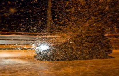 Nije ni kiša ni snijeg: Milijuni kukaca 'blokirali' automobile